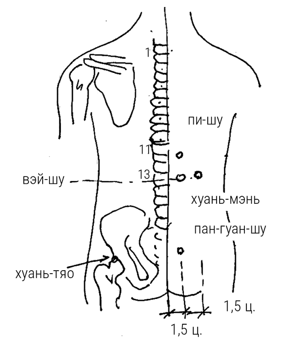 Иллюстрация к книге — Большой самоучитель исцеляющих точек. Подробный атлас, приемы и упражнения [i_185.jpg]
