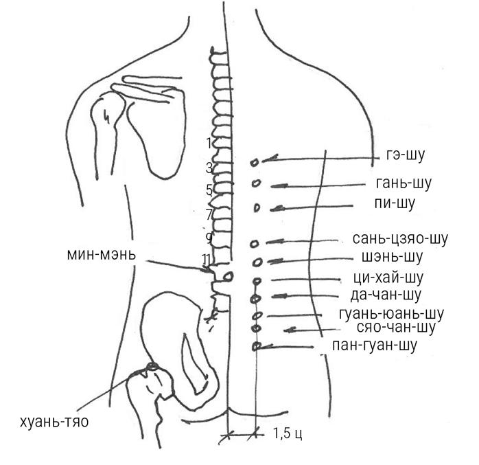 Иллюстрация к книге — Большой самоучитель исцеляющих точек. Подробный атлас, приемы и упражнения [i_189.jpg]