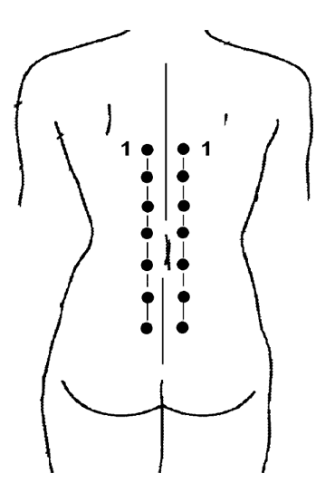 Иллюстрация к книге — Большой самоучитель исцеляющих точек. Подробный атлас, приемы и упражнения [i_193.jpg]