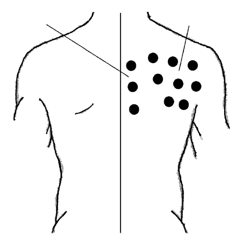 Иллюстрация к книге — Большой самоучитель исцеляющих точек. Подробный атлас, приемы и упражнения [i_195.jpg]