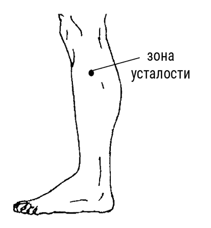 Иллюстрация к книге — Большой самоучитель исцеляющих точек. Подробный атлас, приемы и упражнения [i_201.jpg]