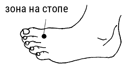 Иллюстрация к книге — Большой самоучитель исцеляющих точек. Подробный атлас, приемы и упражнения [i_205.jpg]