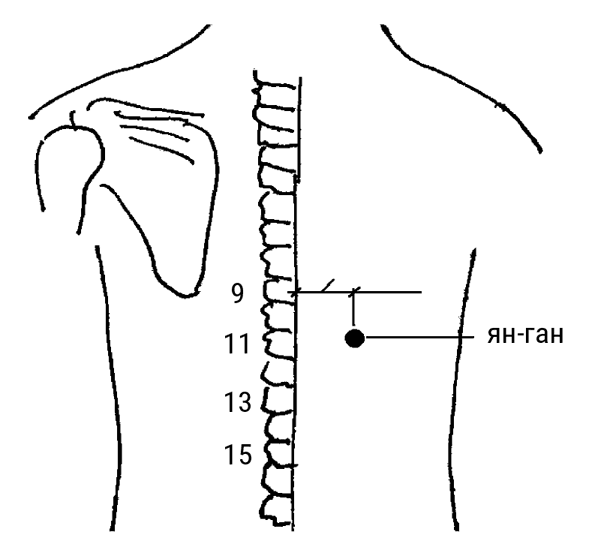 Иллюстрация к книге — Большой самоучитель исцеляющих точек. Подробный атлас, приемы и упражнения [i_208.jpg]