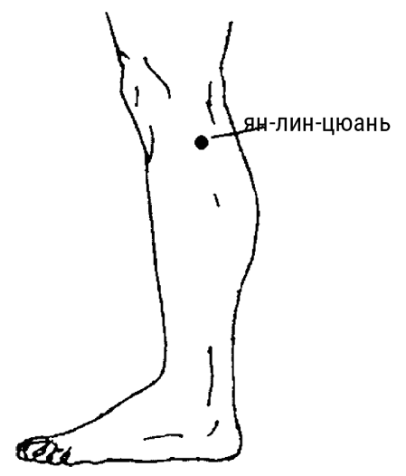 Иллюстрация к книге — Большой самоучитель исцеляющих точек. Подробный атлас, приемы и упражнения [i_209.jpg]