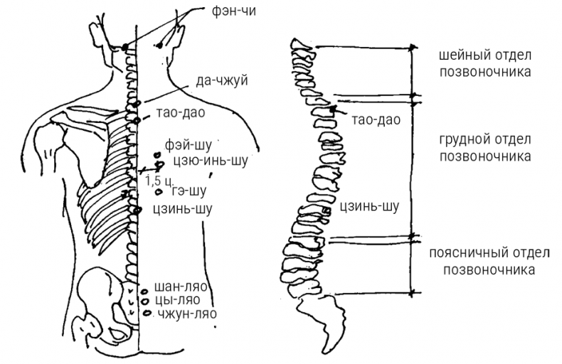 Иллюстрация к книге — Большой самоучитель исцеляющих точек. Подробный атлас, приемы и упражнения [i_216.jpg]