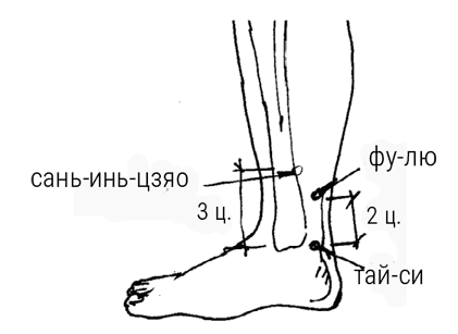 Иллюстрация к книге — Большой самоучитель исцеляющих точек. Подробный атлас, приемы и упражнения [i_219.jpg]