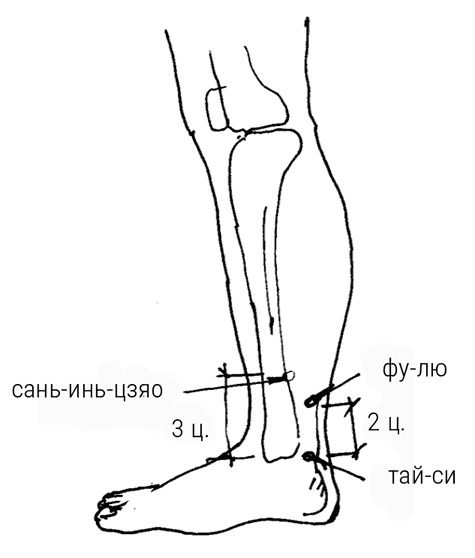 Иллюстрация к книге — Большой самоучитель исцеляющих точек. Подробный атлас, приемы и упражнения [i_223.jpg]