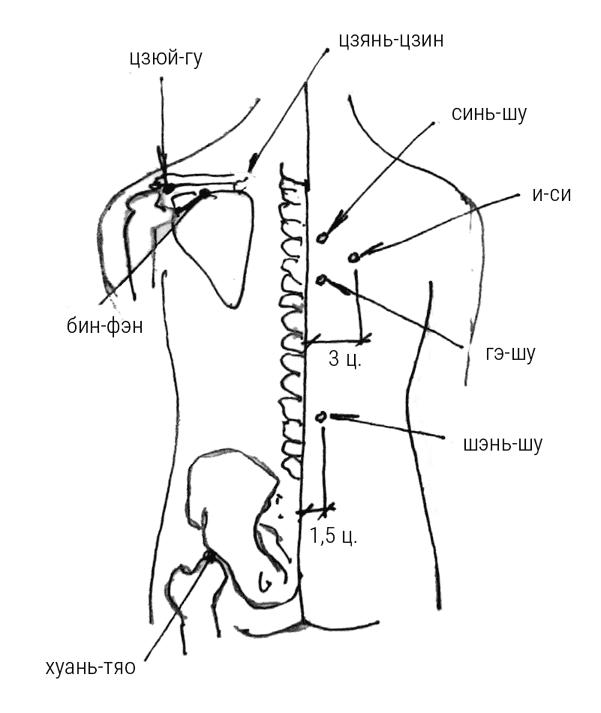 Иллюстрация к книге — Большой самоучитель исцеляющих точек. Подробный атлас, приемы и упражнения [i_226.jpg]