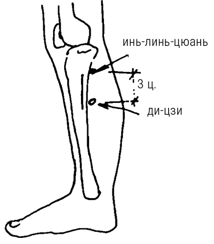 Иллюстрация к книге — Большой самоучитель исцеляющих точек. Подробный атлас, приемы и упражнения [i_227.jpg]