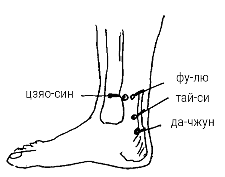 Иллюстрация к книге — Большой самоучитель исцеляющих точек. Подробный атлас, приемы и упражнения [i_229.jpg]