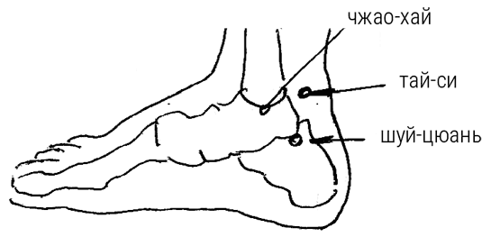 Иллюстрация к книге — Большой самоучитель исцеляющих точек. Подробный атлас, приемы и упражнения [i_232.jpg]