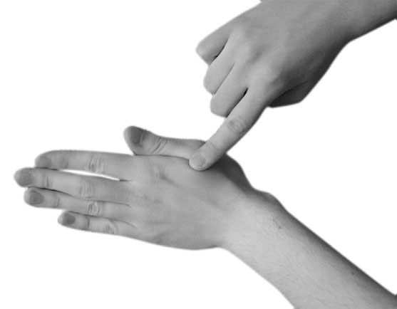 Иллюстрация к книге — Большой самоучитель исцеляющих точек. Подробный атлас, приемы и упражнения [i_248.jpg]