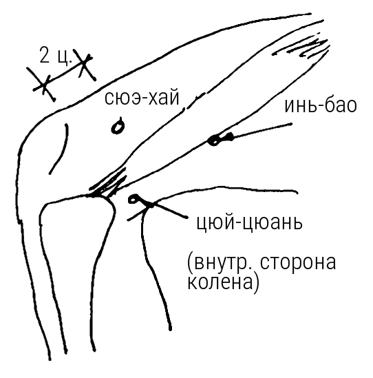 Иллюстрация к книге — Большой самоучитель исцеляющих точек. Подробный атлас, приемы и упражнения [i_257.jpg]