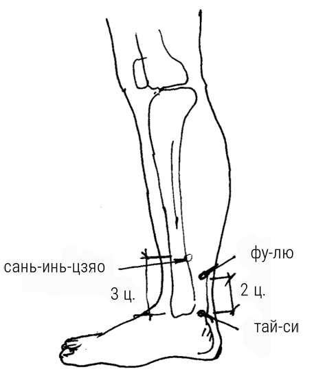 Иллюстрация к книге — Большой самоучитель исцеляющих точек. Подробный атлас, приемы и упражнения [i_258.jpg]