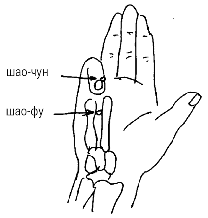 Иллюстрация к книге — Большой самоучитель исцеляющих точек. Подробный атлас, приемы и упражнения [i_259.jpg]