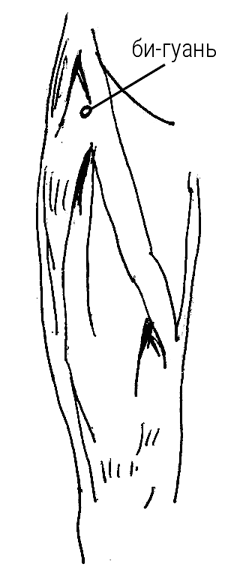 Иллюстрация к книге — Большой самоучитель исцеляющих точек. Подробный атлас, приемы и упражнения [i_264.jpg]