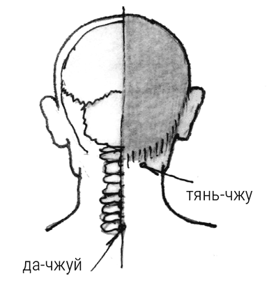Иллюстрация к книге — Большой самоучитель исцеляющих точек. Подробный атлас, приемы и упражнения [i_269.jpg]