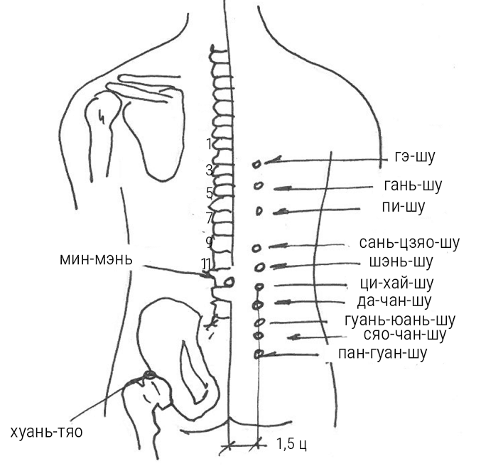 Иллюстрация к книге — Большой самоучитель исцеляющих точек. Подробный атлас, приемы и упражнения [i_270.jpg]