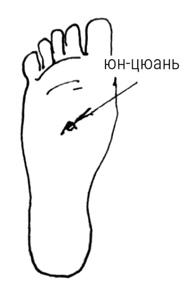 Иллюстрация к книге — Большой самоучитель исцеляющих точек. Подробный атлас, приемы и упражнения [i_275.jpg]