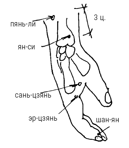 Иллюстрация к книге — Большой самоучитель исцеляющих точек. Подробный атлас, приемы и упражнения [i_276.jpg]