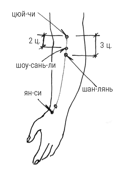 Иллюстрация к книге — Большой самоучитель исцеляющих точек. Подробный атлас, приемы и упражнения [i_280.jpg]