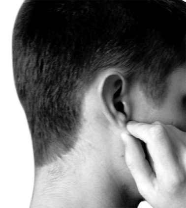 Иллюстрация к книге — Большой самоучитель исцеляющих точек. Подробный атлас, приемы и упражнения [i_281.jpg]