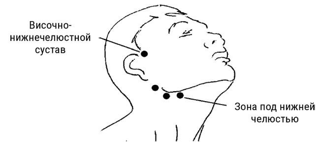 Иллюстрация к книге — Большой самоучитель исцеляющих точек. Подробный атлас, приемы и упражнения [i_285.jpg]