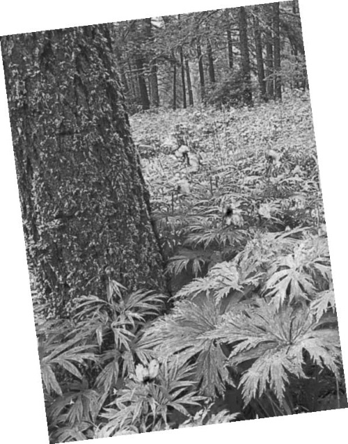 Иллюстрация к книге — Приеду к обеду. Мои истории с моей географией [i_034.jpg]