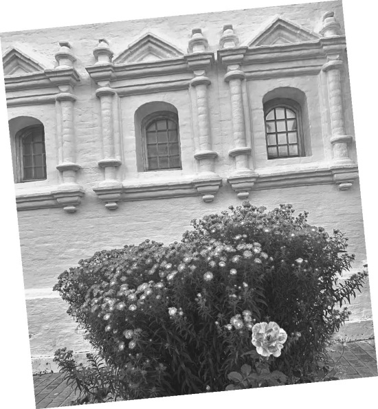 Иллюстрация к книге — Приеду к обеду. Мои истории с моей географией [i_082.jpg]