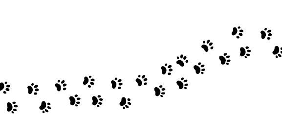 Иллюстрация к книге — Метод большого Я. Откуда у тебя деньги и еще 11 вопросов личного маркетинга [i_004.jpg]