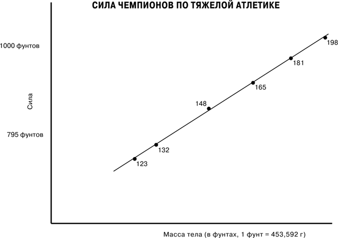 Иллюстрация к книге — Масштаб. Универсальные законы роста, инноваций, устойчивости и темпов жизни организмов, городов, экономических систем и компаний [i_010.jpg]