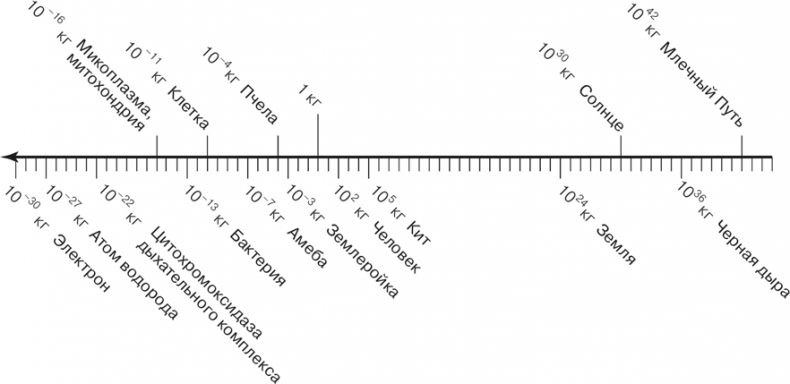 Иллюстрация к книге — Масштаб. Универсальные законы роста, инноваций, устойчивости и темпов жизни организмов, городов, экономических систем и компаний [i_015.jpg]