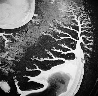 Иллюстрация к книге — Масштаб. Универсальные законы роста, инноваций, устойчивости и темпов жизни организмов, городов, экономических систем и компаний [i_026.jpg]