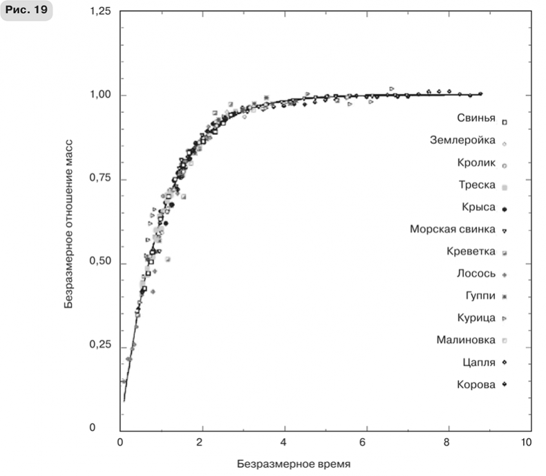 Иллюстрация к книге — Масштаб. Универсальные законы роста, инноваций, устойчивости и темпов жизни организмов, городов, экономических систем и компаний [i_039.jpg]