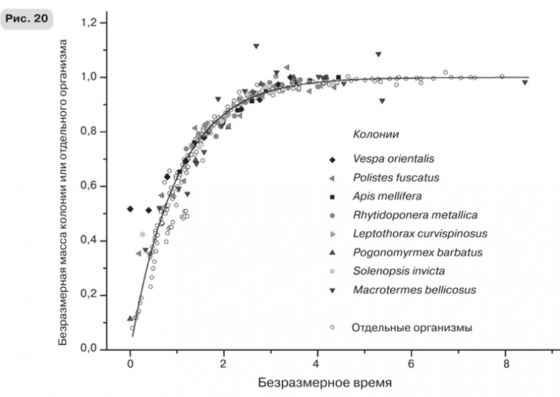 Иллюстрация к книге — Масштаб. Универсальные законы роста, инноваций, устойчивости и темпов жизни организмов, городов, экономических систем и компаний [i_040.jpg]
