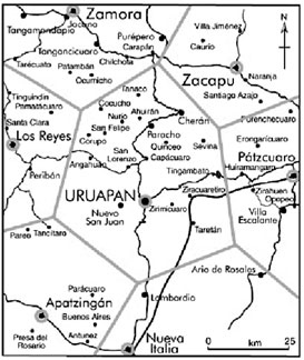 Иллюстрация к книге — Масштаб. Универсальные законы роста, инноваций, устойчивости и темпов жизни организмов, городов, экономических систем и компаний [i_078.jpg]