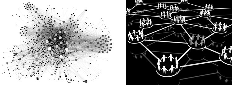 Иллюстрация к книге — Масштаб. Универсальные законы роста, инноваций, устойчивости и темпов жизни организмов, городов, экономических систем и компаний [i_081.jpg]