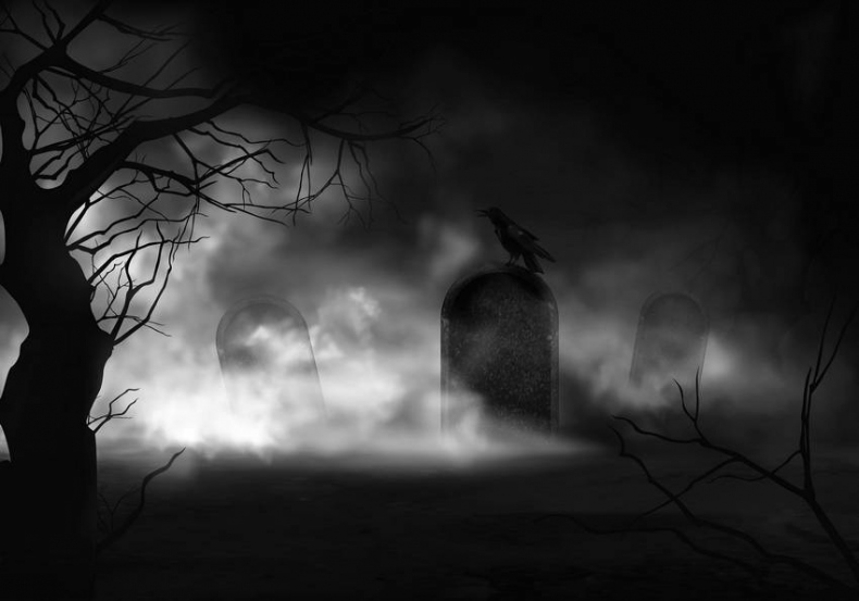 Иллюстрация к книге — Страшные истории. Не оставайся один в темноте… [i_003.jpg]