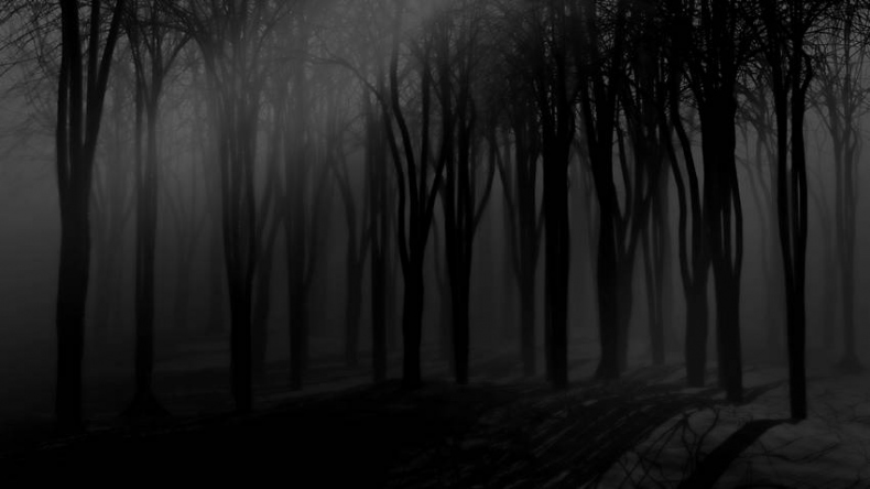 Иллюстрация к книге — Страшные истории. Не оставайся один в темноте… [i_022.jpg]