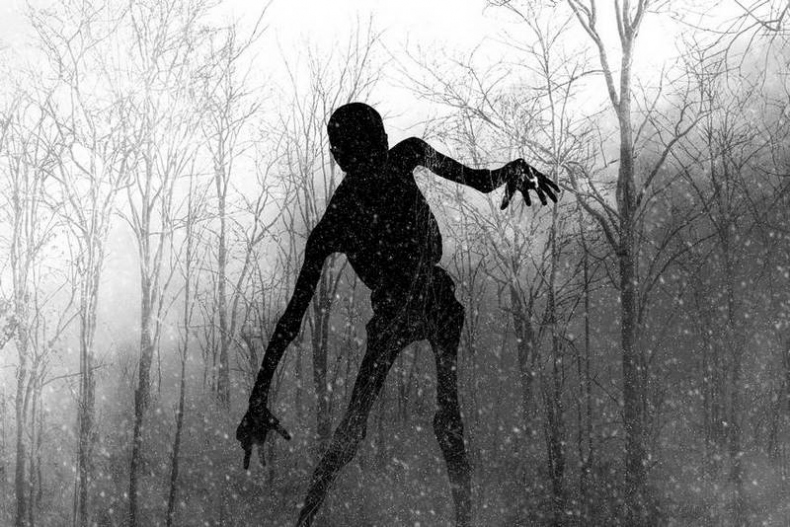 Иллюстрация к книге — Страшные истории. Не оставайся один в темноте… [i_028.jpg]