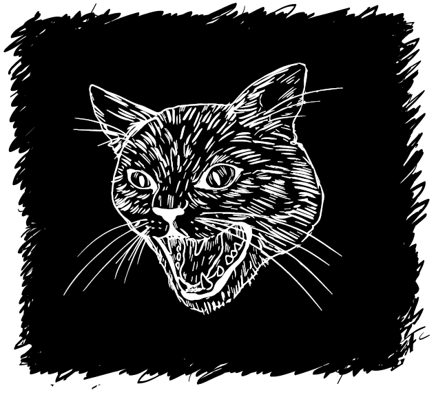 Иллюстрация к книге — Страшные истории. Не оставайся один в темноте… [i_036.jpg]