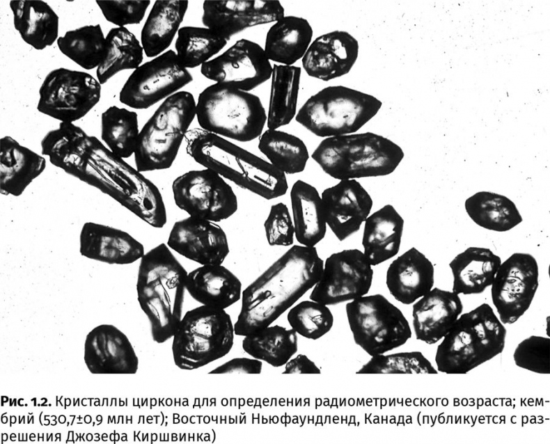 Иллюстрация к книге — Сотворение Земли. Как живые организмы создали наш мир [i_005.jpg]