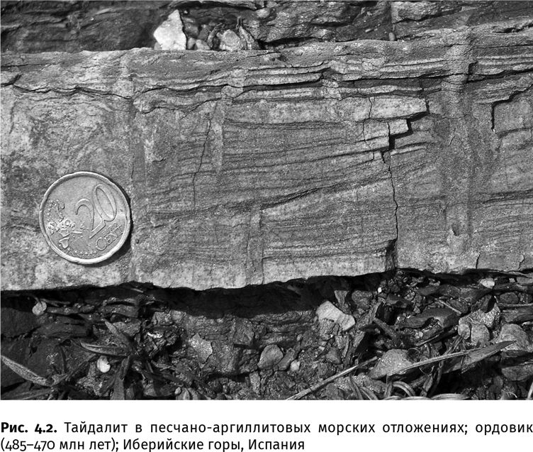 Иллюстрация к книге — Сотворение Земли. Как живые организмы создали наш мир [i_014.jpg]