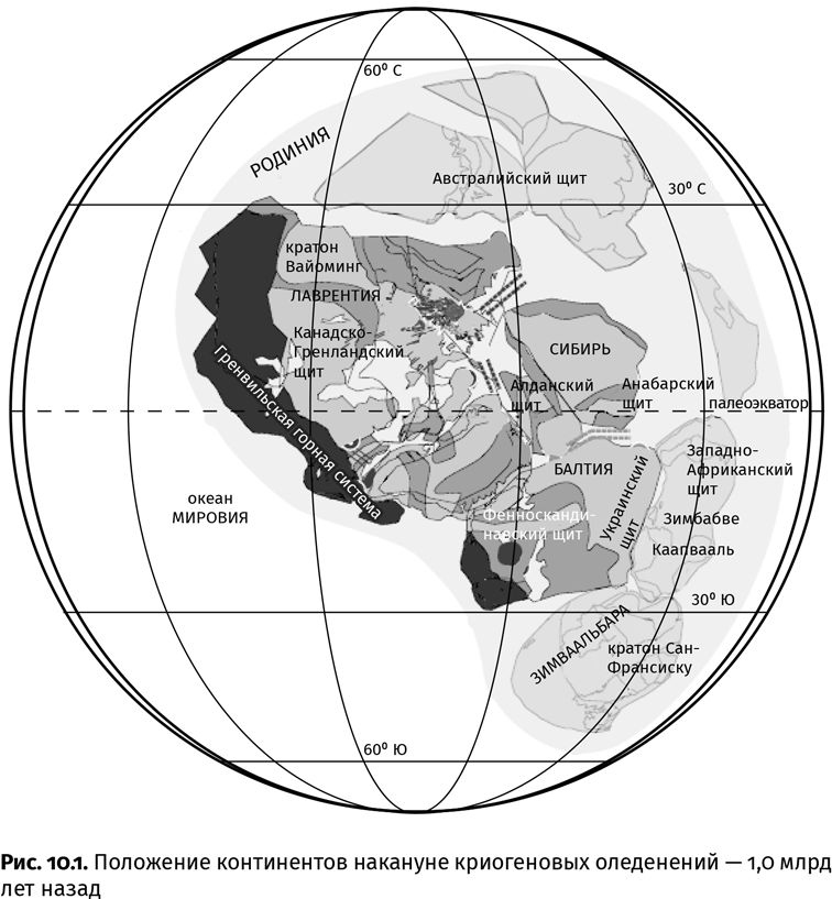Иллюстрация к книге — Сотворение Земли. Как живые организмы создали наш мир [i_020.jpg]