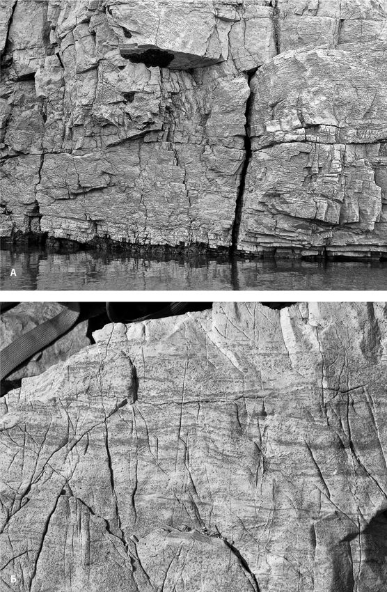 Иллюстрация к книге — Сотворение Земли. Как живые организмы создали наш мир [i_029.jpg]