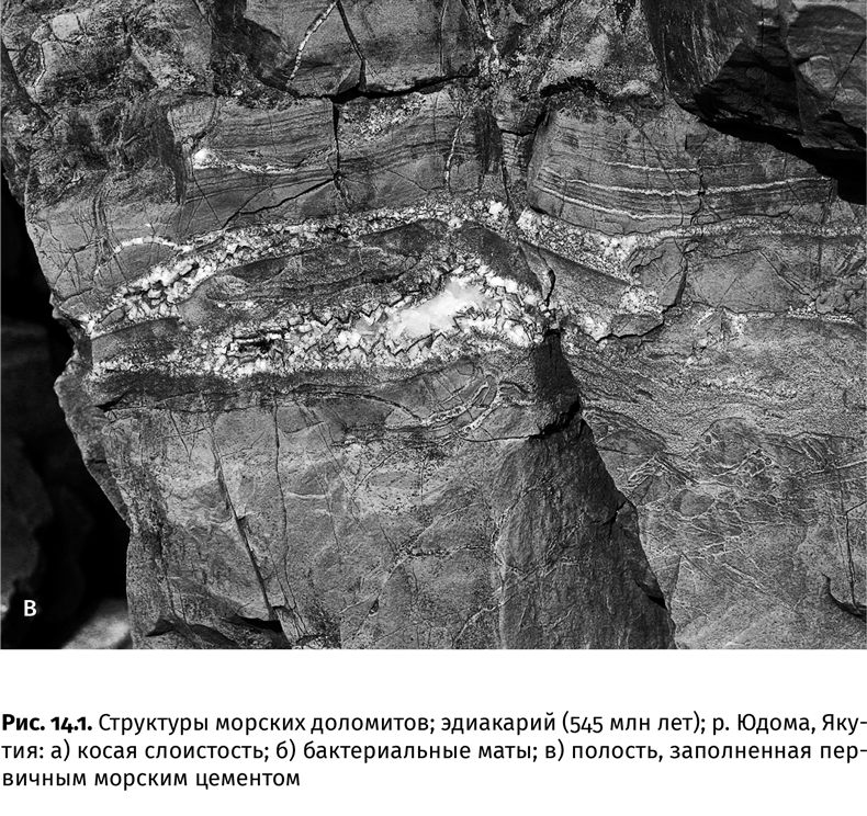 Иллюстрация к книге — Сотворение Земли. Как живые организмы создали наш мир [i_030.jpg]