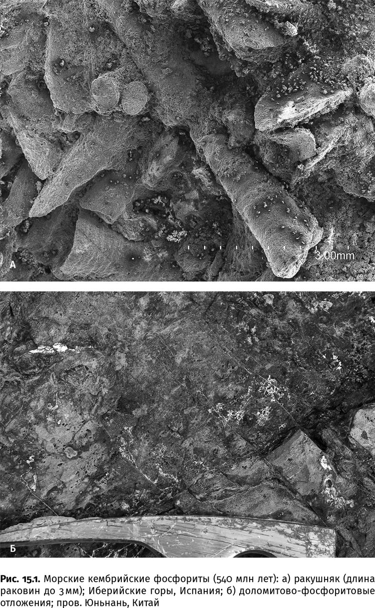 Иллюстрация к книге — Сотворение Земли. Как живые организмы создали наш мир [i_033.jpg]