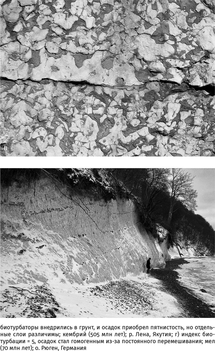 Иллюстрация к книге — Сотворение Земли. Как живые организмы создали наш мир [i_068.jpg]