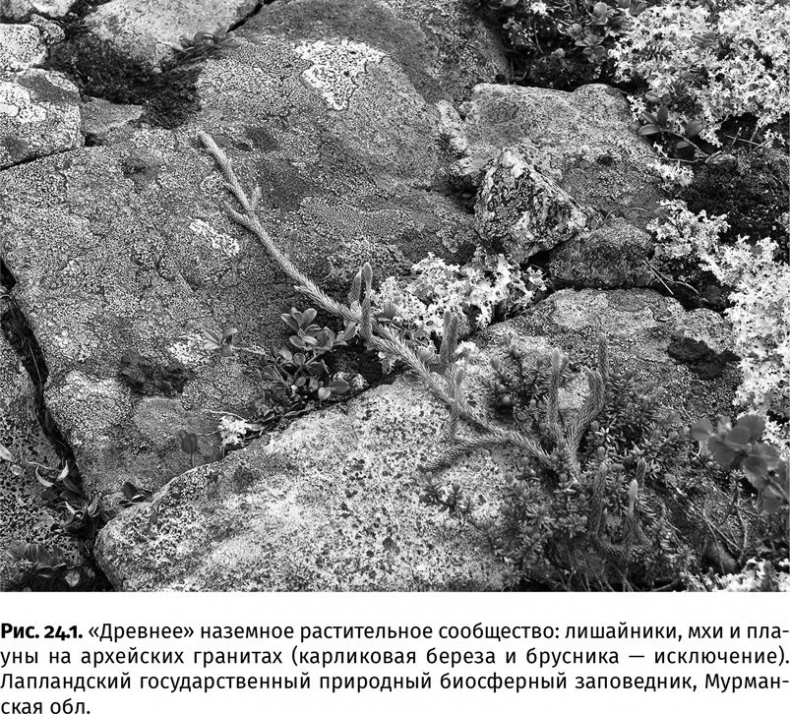 Иллюстрация к книге — Сотворение Земли. Как живые организмы создали наш мир [i_085.jpg]