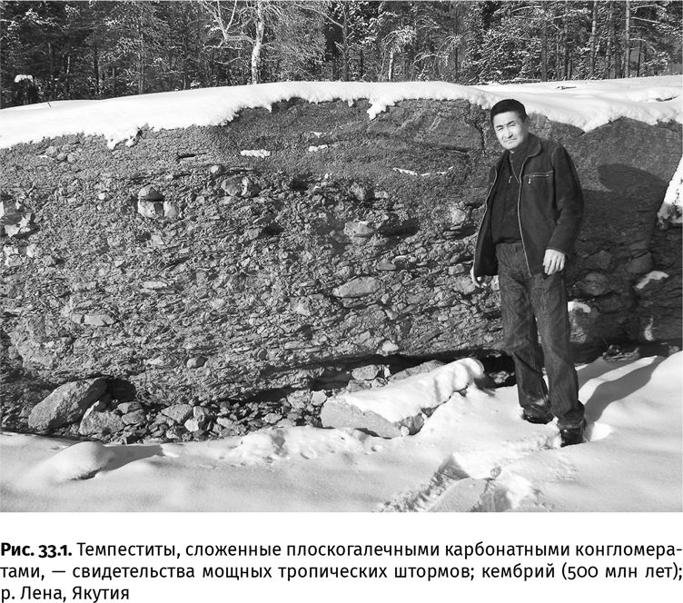 Иллюстрация к книге — Сотворение Земли. Как живые организмы создали наш мир [i_102.jpg]